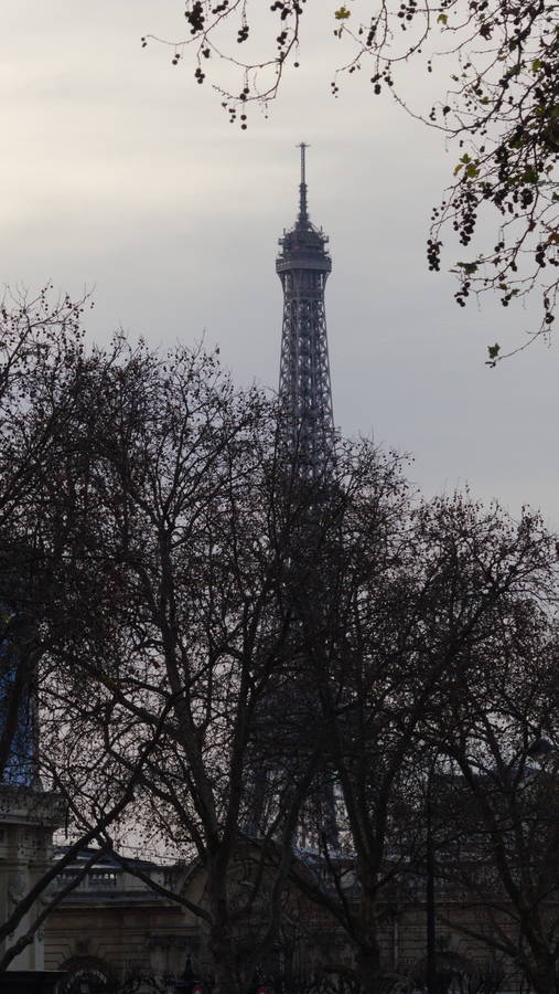 torreeiffel010